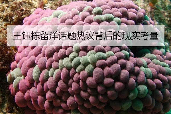 wang-yu-dong-liu-yang-hua-ti-re-yi-bei-hou-de-xian-shi-kao-liang-2-114.jpg